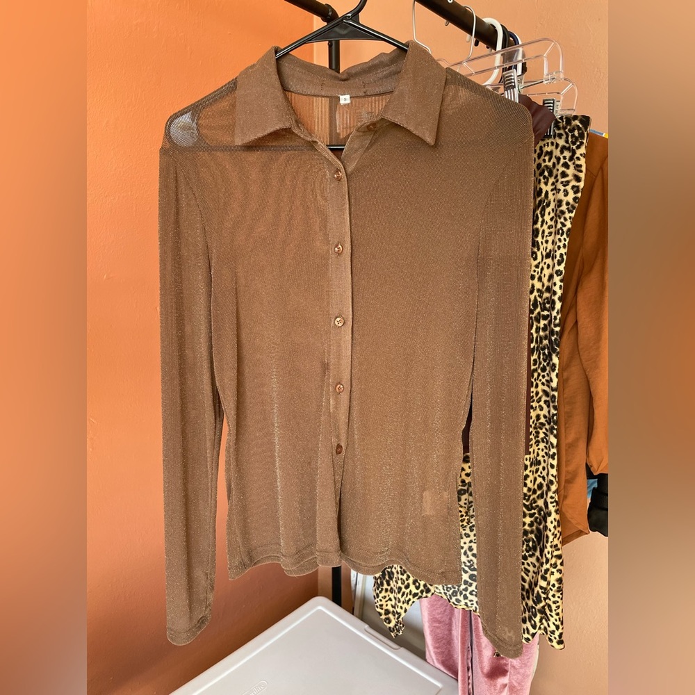 See through, shimmery, brown top